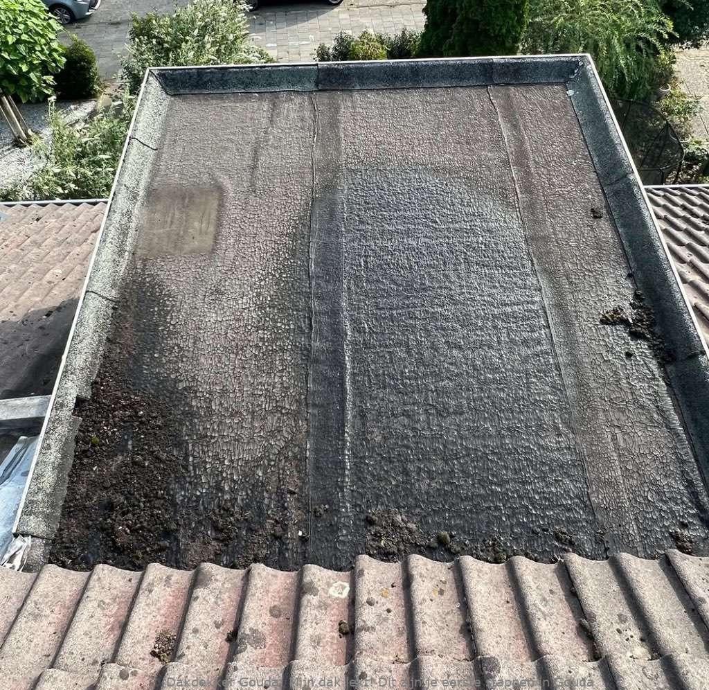 Dak Lekt Gouda