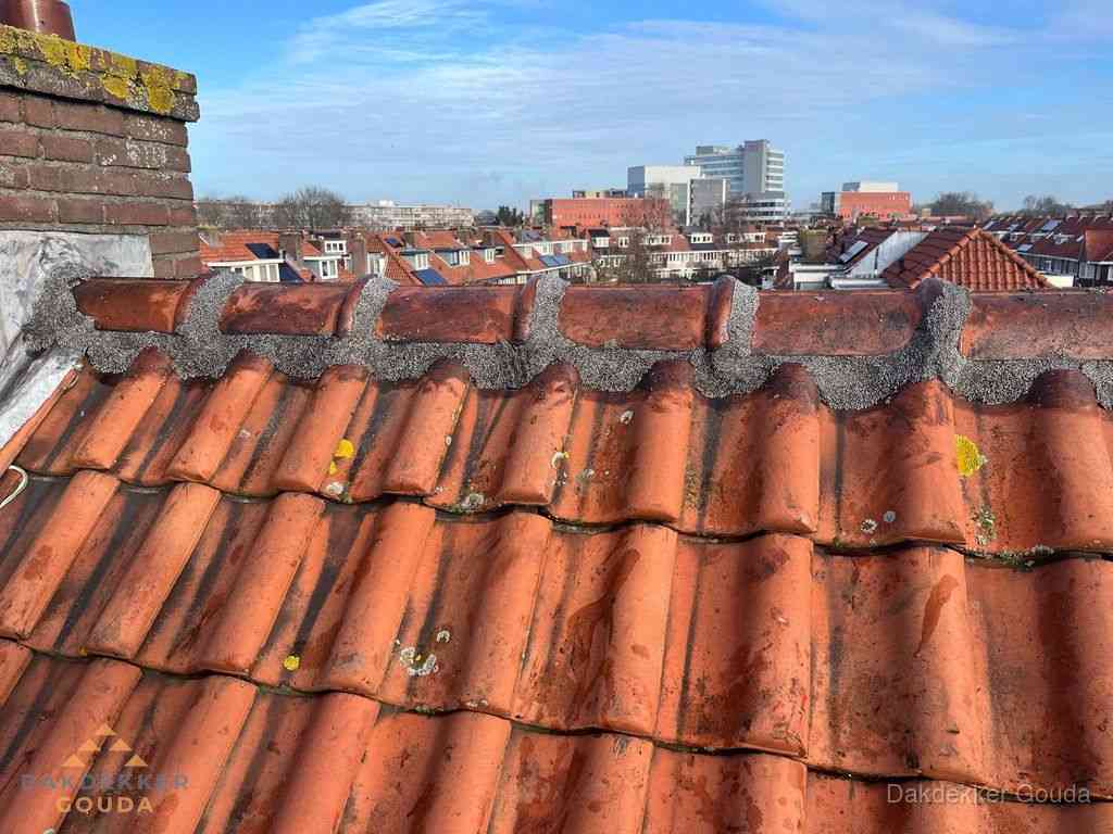Nieuw bitumen plat dak met uitzicht over woonwijk in Gouda