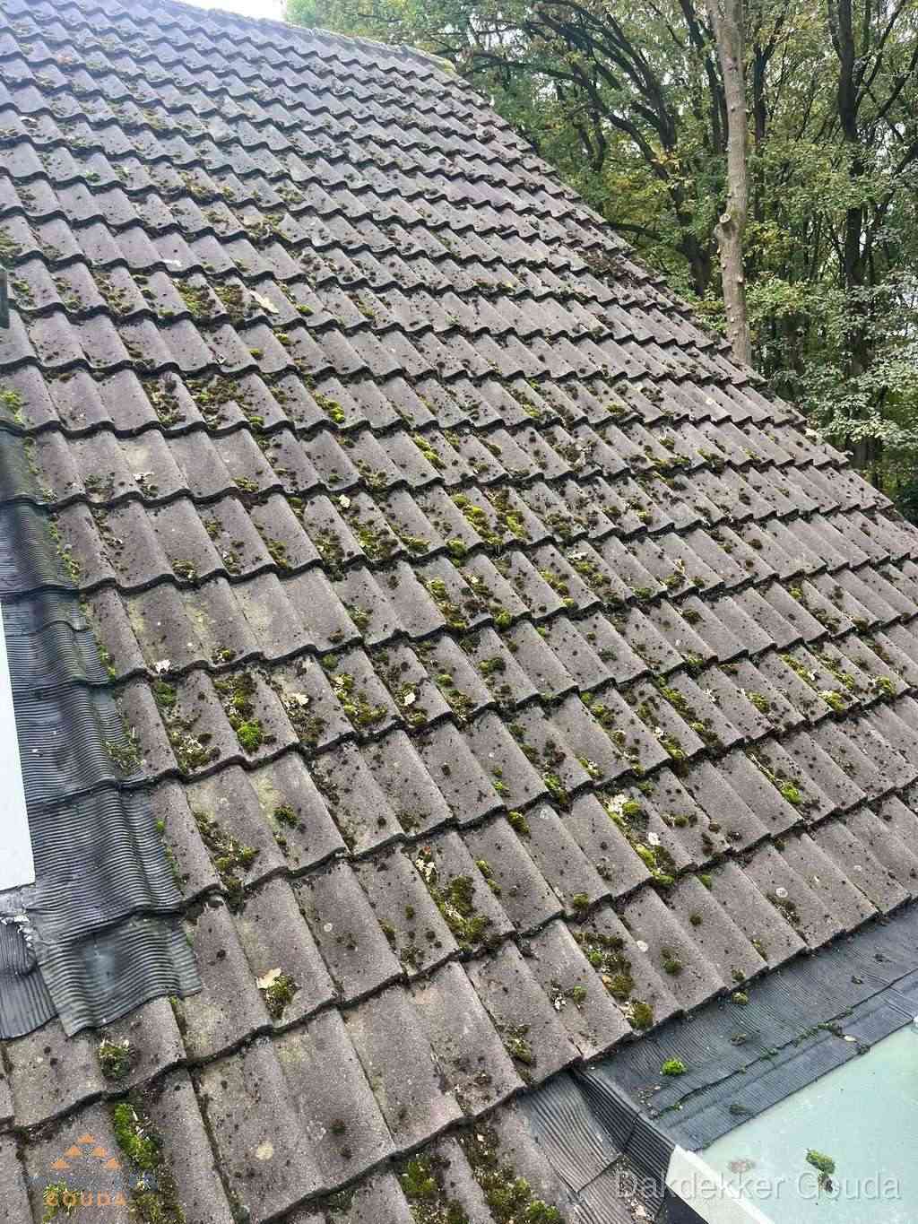Verweerd pannendak met mosgroei dat renovatie nodig heeft in Gouda