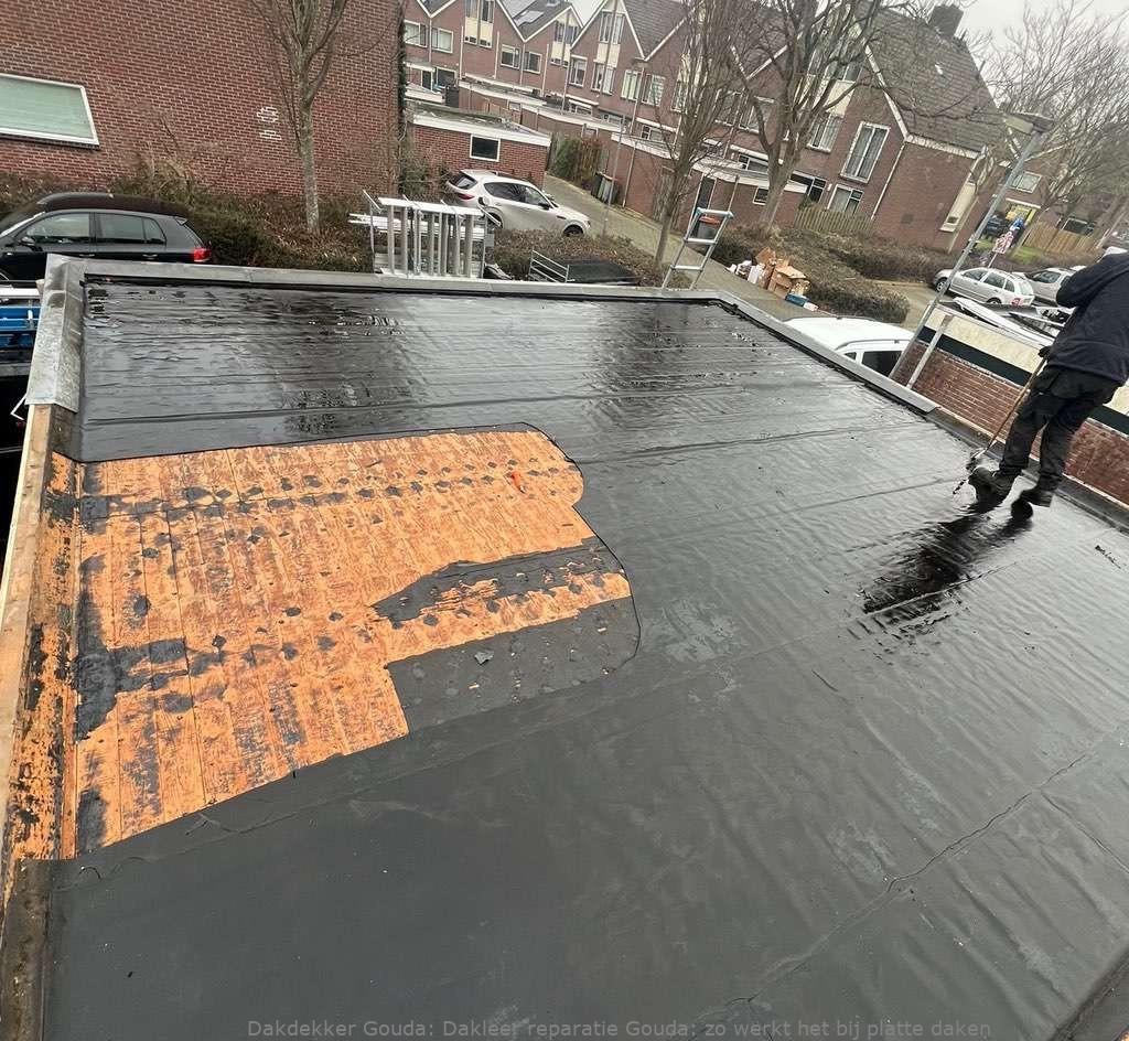 Dakleer Reparatie Gouda