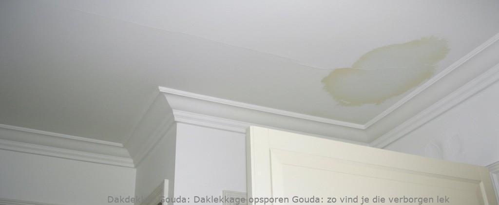 Daklekkage Opsporen Gouda 1