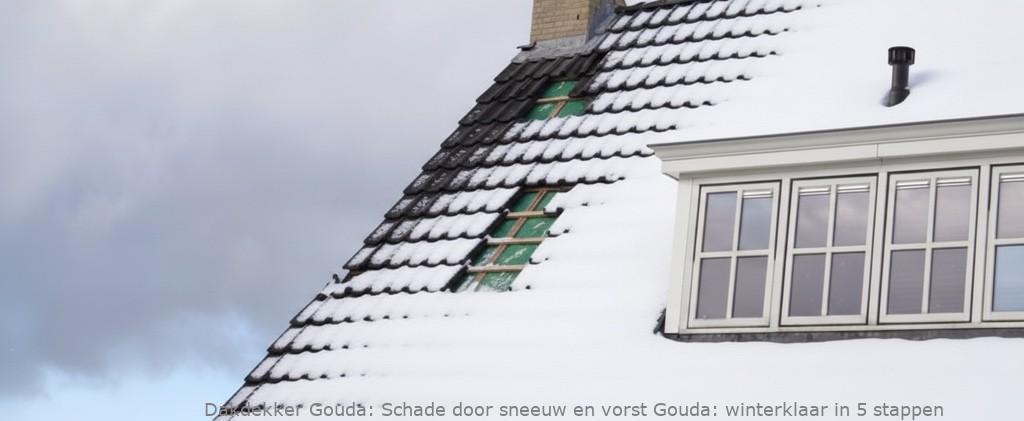 Schade Door Sneeuw En Vorst Gouda