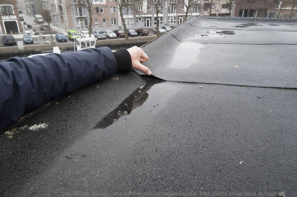 Voorkomen Daklekkages Gouda